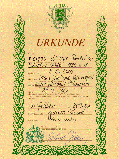 Prfungsurkunde als PDF ffnen? Jetzt klicken!